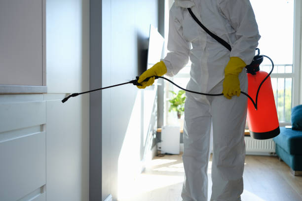 Mold Removal and Inspection in Clearwater, KS