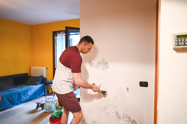Best Black Mold Removal  in Clearwater, KS